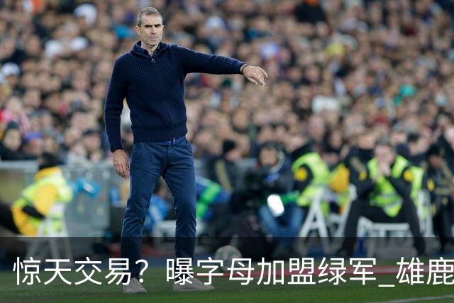 惊天交易？曝字母加盟绿军 雄鹿为布朗寻找第三方