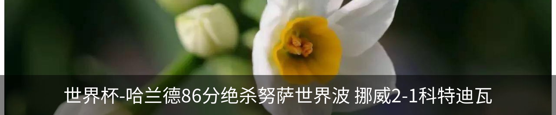 新闻动态