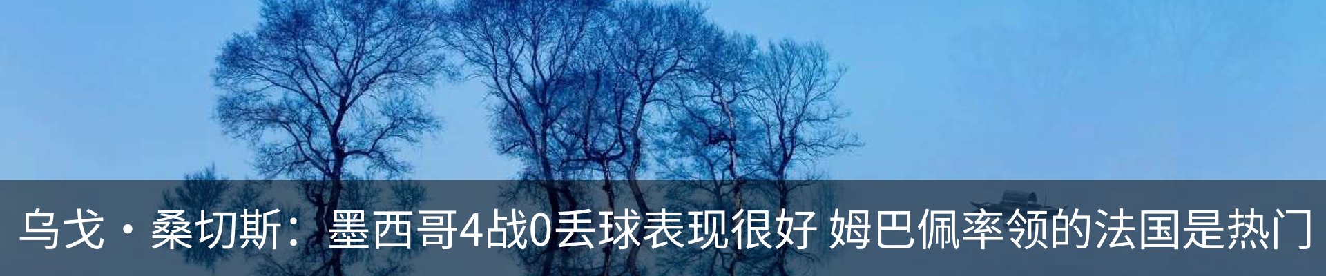 新闻动态