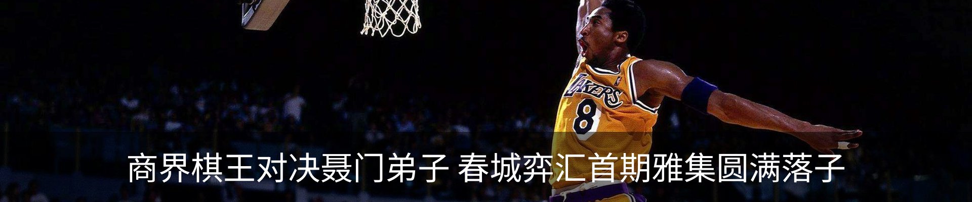 新闻动态