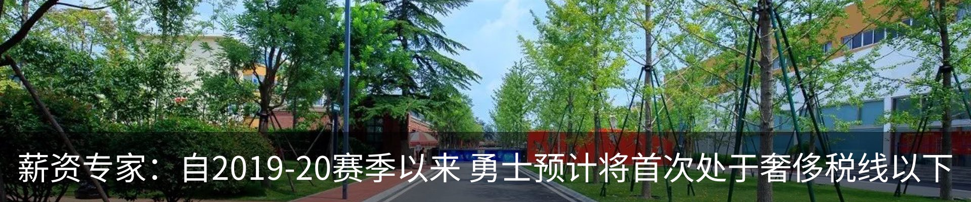 新闻动态