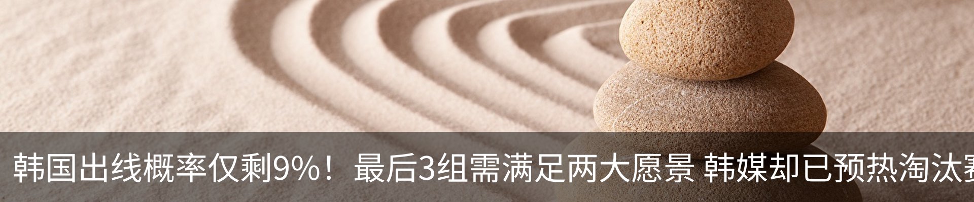 新闻动态