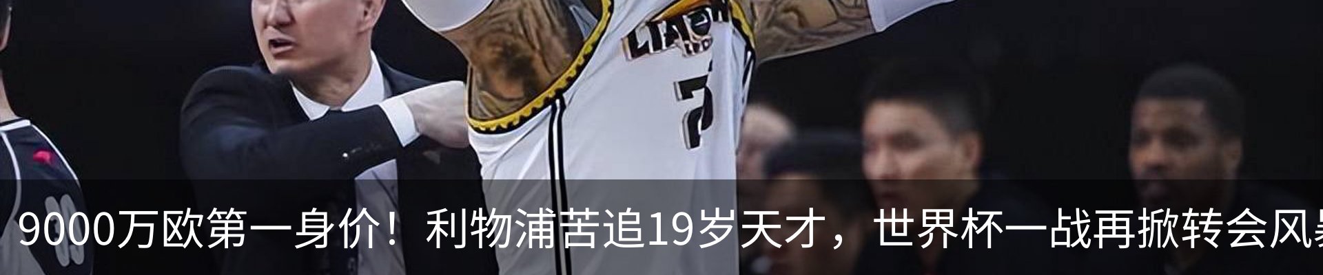 新闻动态